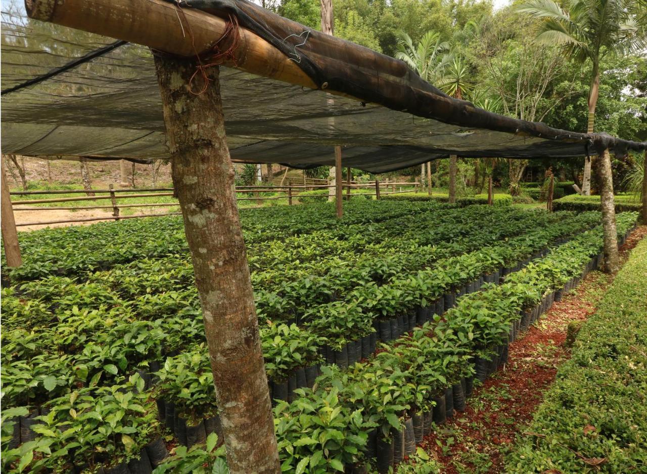 Mision Los Cocuyos Alta Montana Huatusco Exteriör bild